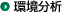 環境分析